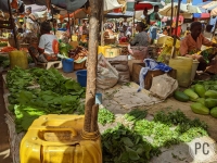 Marché de brèdes à Mandritsara