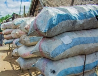 Le prix du charbon est en excès à Morondava