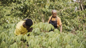 Le programme Progr&egrave;s a &eacute;t&eacute; lanc&eacute; en 2024