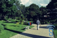 Parc botanique Ambohijatovo, non seulement catégorisé comme site et attraction des touristes dans la capitale mais il participe à la purification de l’air et reverdit Antananarivo.
