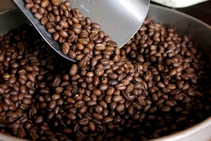 District d&#039;Ambositra : 4500 jeunes producteurs de café. 