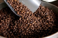 District d'Ambositra : 4500 jeunes producteurs de café. 