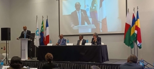 COI:  conférence régionale sur les bonne pratiques pour la paix et la stabilité dans l&#039;organisation des processus électoraux au Radisson Blu Ambodivona, Antananarivo