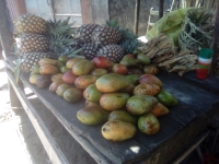 L’année dernière, le prix de panier de mangue était à 20 000 ariary. Alors que cette année le prix est de 8000 Ariary