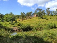 Le site de ruches de Finaritra à Vatomandry. 