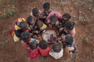 Les citoyens malgaches sont les premiers concernés par les problèmes environnementaux de Madagascar.  