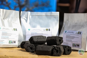 refondation ne peut réussir sans redressement écologique, selon la Société civile