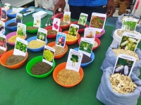 Des semences de légumes sont parmi les produits exposés lors de la foire Analamanga