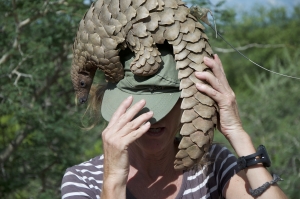 Le pangolin, l’animal qui aurait transmis la COVID-19 aux humains.