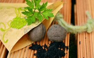 Le seed bomb, une arme efficace pour reforester.