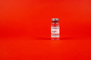 Une population en majorité atteinte de COVID-19 et vaccinée mènerait à l’état endémique. 