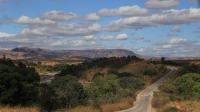 L’exploitation forestière à Madagascar est une filière menacée actuellement, quand on sait que Madagascar perd 100 000 hectares de ses forets chaque année