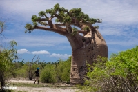 Madagascar vise le marché africain du tourisme : La Côte d'Ivoire à l'honneur à l'ITM 2024