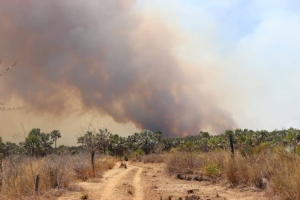 Une cellule de crise a été mise en place pour maitriser les feux de forêt. 