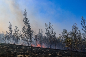 Le manque de matériels et de ressources humaines fait partie des principaux problèmes dans la lutte et prévention des feux de forêts. 