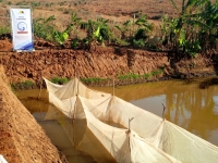 Le secteur piscicole est en pleine expansion à Madagascar. 