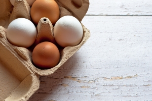 Les oeufs sont exceellents pour la santé cardiovasculaire