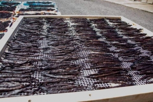 Le prix plancher de la vanille à l’exportation est fixé à 250 euros le kilo.