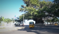 Le grande Baobab de Mahajanga a une histoire bien définie dans le temps qui fait de lui l’emblème de la ville