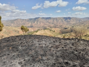 Le minist&egrave;re de l&rsquo;Environnement et du D&eacute;veloppement durable a lanc&eacute; la semaine derni&egrave;re un plan de contingence r&eacute;gional contre les feux 