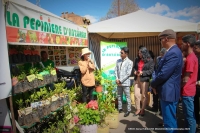 Un Salon de l’entrepreneuriat a parallèlement été organisé à Antsirabe et Ambatolampy