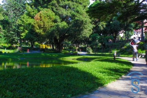 Le jardin d&#039;Ambohijatovo.