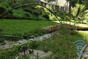 Un ruisseau dans le jardin d&#039;Ambohijatovo.
