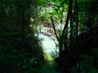 La réserve de Vohimana regorge d’une grande variété d’espèces de lémuriens, de grenouilles, d’oiseaux et de plantes endémiques.