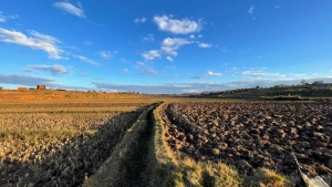 Cultiver du riz n&#039;est plus rentable pour les paysans, il n’y a pas assez de pluies ni de système d’irrigation 