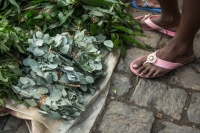 Des plantes médicinales vendues dans les rues d'Antananarivo en mars 2020.