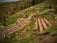 Le site de reforestation de Green Art Soa à Ambohimangakely, Antananarivo.