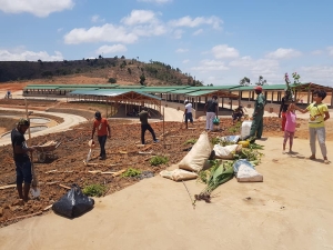 L’équipe de Ecodio Vidange a aussi procédé à la plantation d’arbres autour de la Station de Traitement de Boue de Vidange. 