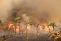 Les actes de feu de brousse sont plus fréquents dans la région de l’ouest.