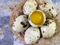 Plus petits que les œufs de poule, les œufs de caille sont cinq fois plus nutritifs.