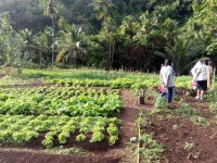 Bien choisir les pesticides pour préserver l’environnement. 