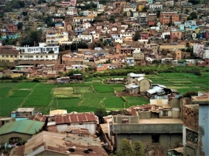 Ces bidonvilles d&#039;Antananarivo poussent à même les rizières