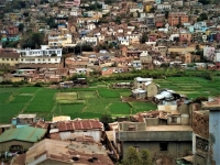 Ces bidonvilles d'Antananarivo poussent à même les rizières