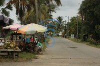 La Région Analanjirofo possède beaucoup de banane plantain