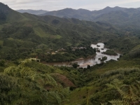 « Les projets REDD+ augmentent la capacité des populations locales à protéger les forêts », Lovakanto Ravelomanana