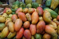 La région de Bongolava possède une grande diversité de mangues.  