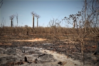 Le passage de l’Homme dans cette « aire protégée » a laissé ce triste paysage.