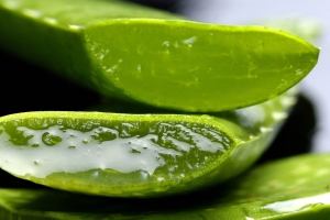 L&#039;Aloe peut soulager les brûlures.