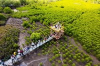 Le site touristique d’Ankazomborona permet d’admirer de près les flamants roses et les oiseaux endémiques qui ont fait leur nid près des mangroves