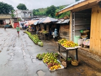 Les fruits sont indispensables pour le bon fonctionnement de notre organisme 