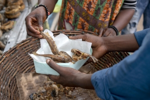 Les cas d&#039;intoxication alimentaires graves sont rares mais peuvent etre fatal 