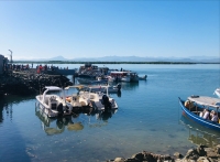 1.905 bateaux et vedettes ont assuré le transport des festivaliers et des touristes vers Nosy be durant le festival Somaroho