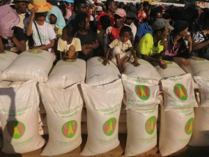 Après la tempête de grêle en juin 2023 qui a détruit la production, 3000 producteurs de district d&#039;Ambatondrazaka ont bénéficié des engrais pour pouvoir continuer de produire