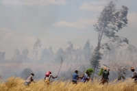 Une bribe de l’incendie de la réserve naturelle d’Ankarafantsika.