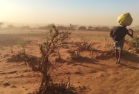 Des tempêtes de sable peuvent couvrir les sols arables. 