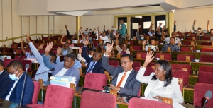 Les propositions de loi devraient être rédigées en Malgache selon le député Idéalison.